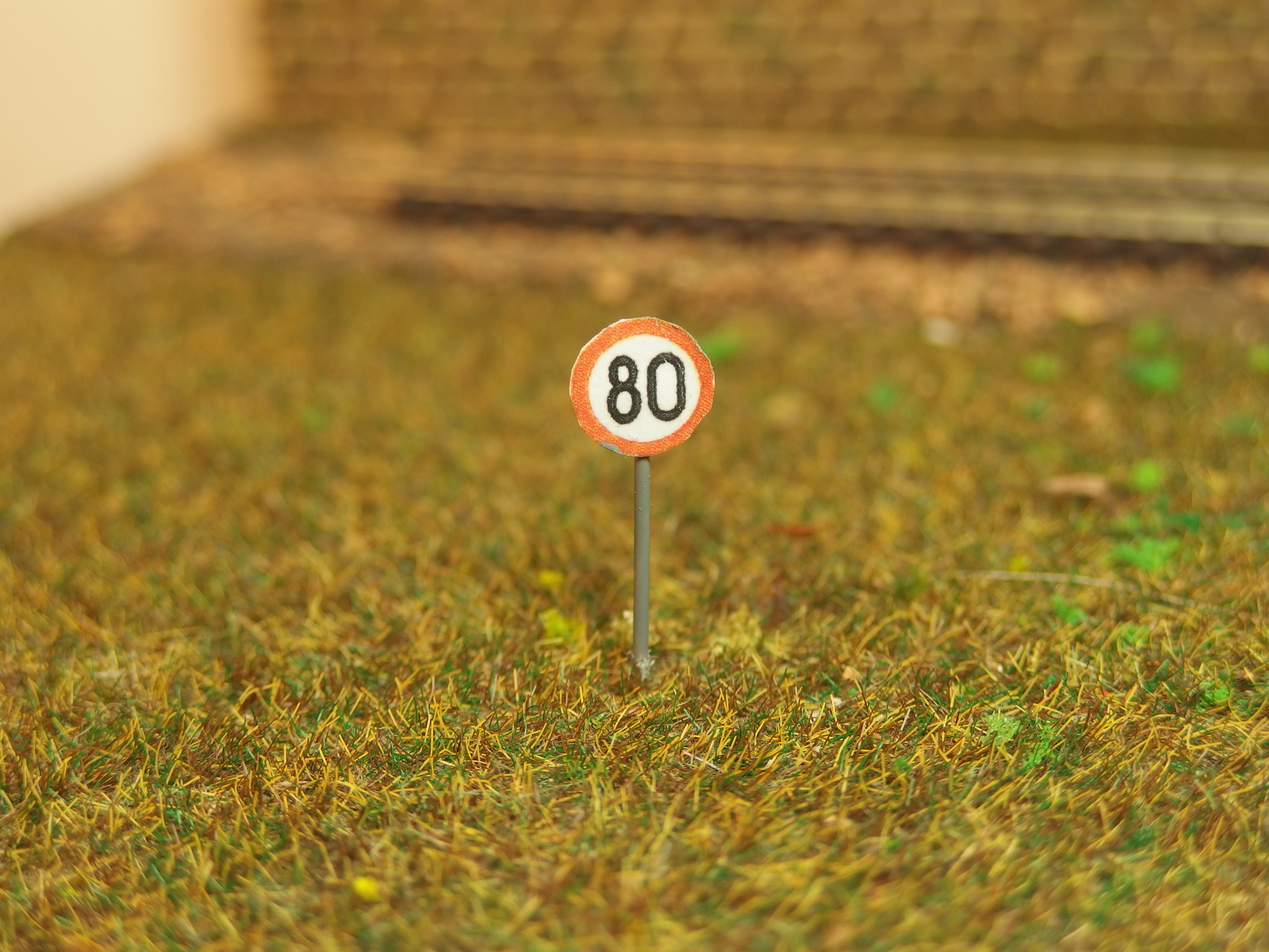 Dopravní značka omezená rychlost 80 HO  17318